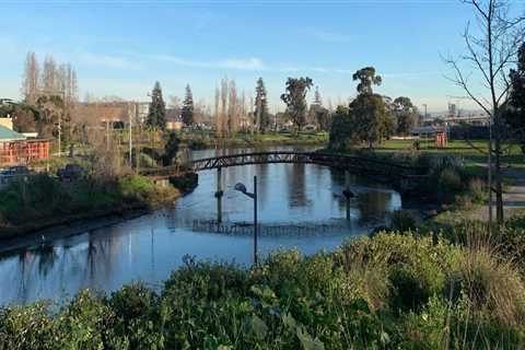 The Best Fishing Spots in Alameda County: An Expert's Guide