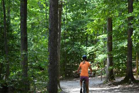 Exploring the Best Bike Trails in Northern Virginia