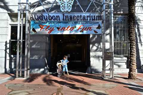 Audubon Butterfly Garden and Insectarium in New Orleans