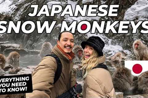 Japanese SNOW MONKEY Park | Winter trip to Nagano Japan vlog (EVERYTHING you need to know!)