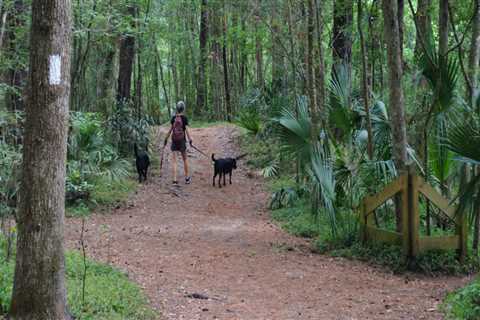 Can I Bring My Pet on a Trail Loop in Panama City, Florida?