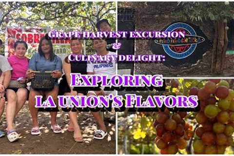 Vacation series Part 5: Grapes Picking and Local Delights in La Union