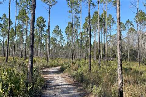 Exploring the Most Scenic Trails in Panama City, Florida
