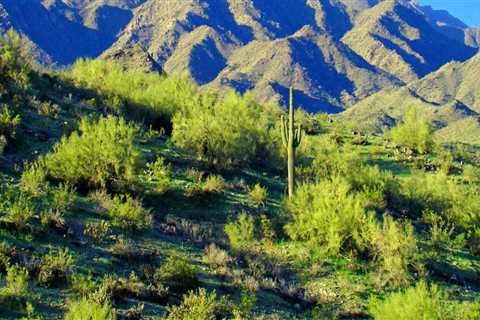 Exploring the Natural Wonders of Maricopa County, AZ