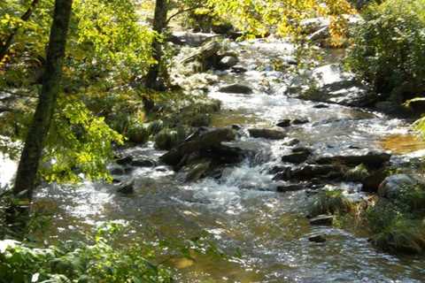 A River Runs Through It - 2 Bedroom Cabin for 6 Guests in Valle Crucis, NC