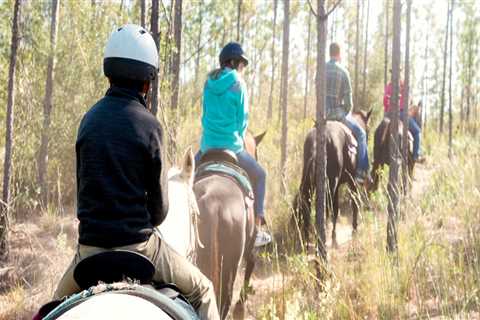 Experience the Outdoors in Panama City, Florida with Horseback Riding