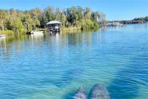 Experience Romance in Manatee County, FL