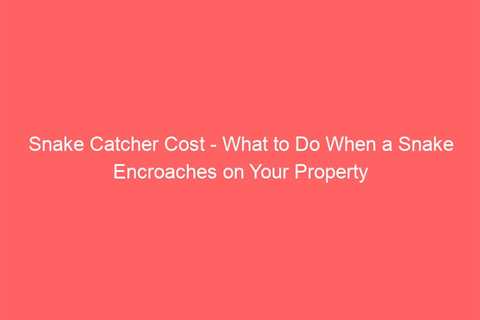 Snake Catcher Cost – What to Do When a Snake Encroaches on Your Property