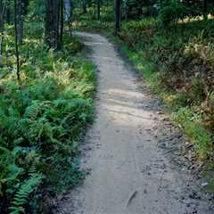 Exploring the Lake Anne Trail in Reston, VA