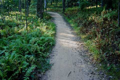 Exploring the Lake Anne Trail in Reston, VA