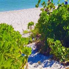 Discover the Best Beaches near Inns in Lee County, Florida