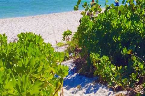 Discover the Best Beaches near Inns in Lee County, Florida