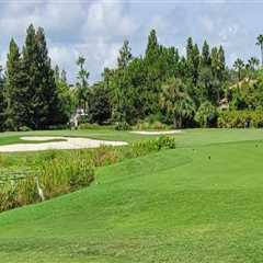 From Vines To Fairways: Pairing Vineyard Tours With Public Golf Courses In Orlando, FL