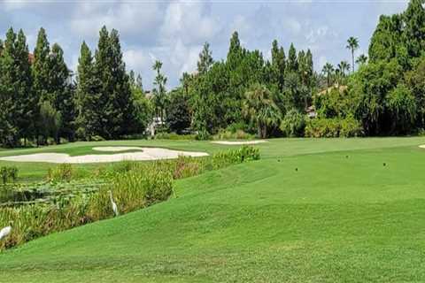 From Vines To Fairways: Pairing Vineyard Tours With Public Golf Courses In Orlando, FL
