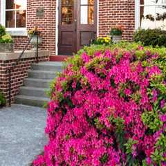 Exploring the Rich History and Culture of Bartow County, Georgia