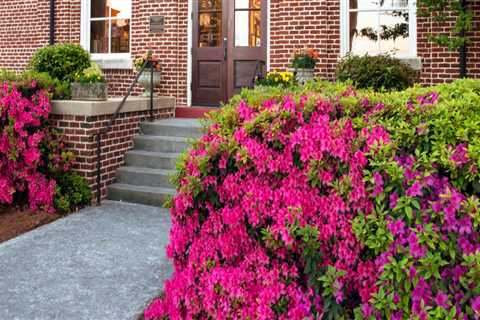 Exploring the Rich History and Culture of Bartow County, Georgia