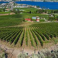 Pairing Lakeside Living With Vineyards: Boat Docks For Sale And Wine Tours In British Columbia