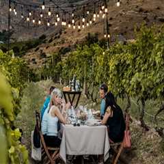 Why Vineyard Tours Are the Perfect Blend of Scenery, Flavor, and Culture