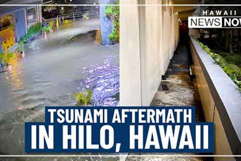 Cleanup underway after tsunami floods seaside Hilo hotel