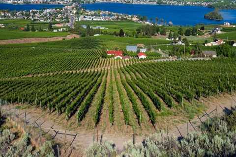 Pairing Lakeside Living With Vineyards: Boat Docks For Sale And Wine Tours In British Columbia