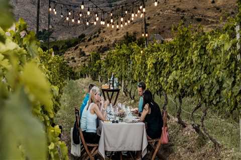 Why Vineyard Tours Are the Perfect Blend of Scenery, Flavor, and Culture