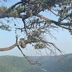 Discovering the Best Hiking Trails near Top Attractions in Nicholasville, Kentucky