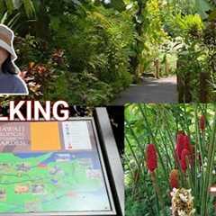 Hidden Gem in Hilo: Hawai''i Tropical Botanical Garden Walk