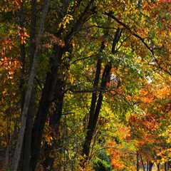 The Ultimate Guide to Visiting Southern Maryland for the Perfect Accommodation Experience