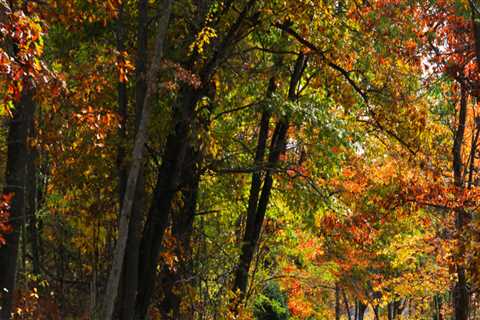 The Ultimate Guide to Visiting Southern Maryland for the Perfect Accommodation Experience