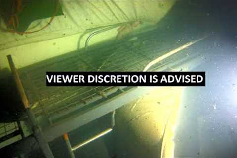 In Search of Souls (Inside the MV St. Thomas Aquinas- Bodies Recovery Operation)