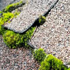 Why Roof Leaks Are a Bigger Threat Than Vandalism at Tourist Sites