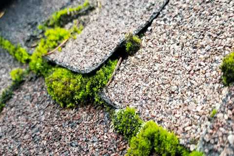 Why Roof Leaks Are a Bigger Threat Than Vandalism at Tourist Sites