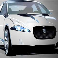 Discover Bend's Wine Tours and Pristine Auto Detailing