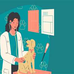 Travel Safety Tips for Pet Owners in Kyle, TX