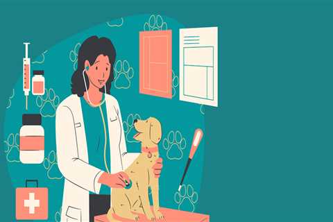 Travel Safety Tips for Pet Owners in Kyle, TX