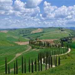 Vineyard Tours and the Joy of Exploring Wine Country at Your Own Pace