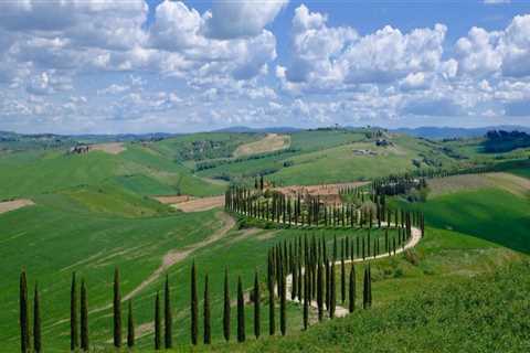 Vineyard Tours and the Joy of Exploring Wine Country at Your Own Pace